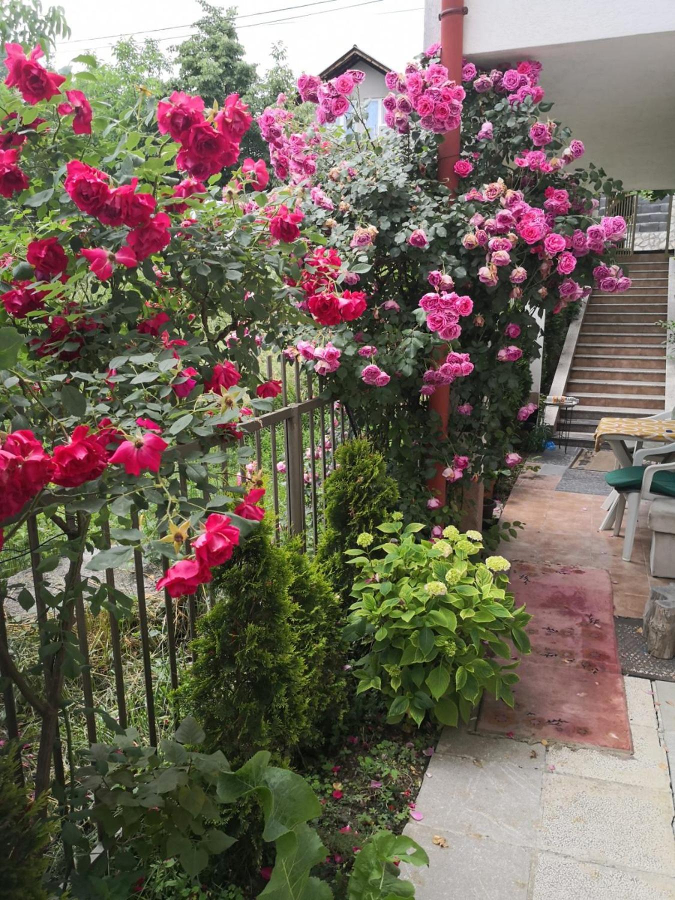 Rest & Recharge 4Bdr Apt- Free Parking, Ac & Garden SJJ Extérieur photo